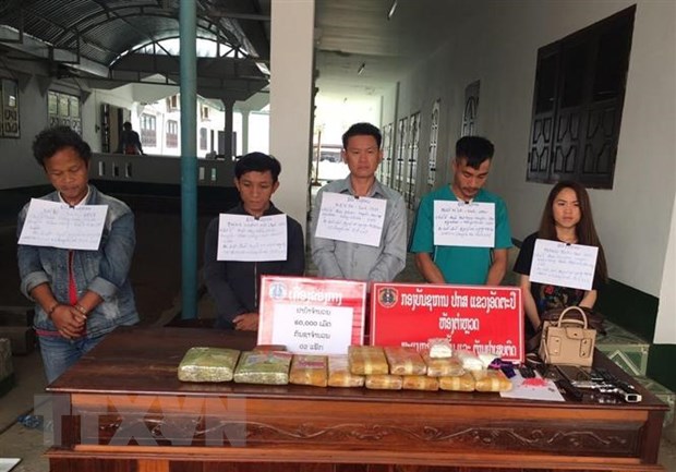 Việt Nam phối hợp với Lào bắt giữ vụ ma túy lớn ở vùng biên