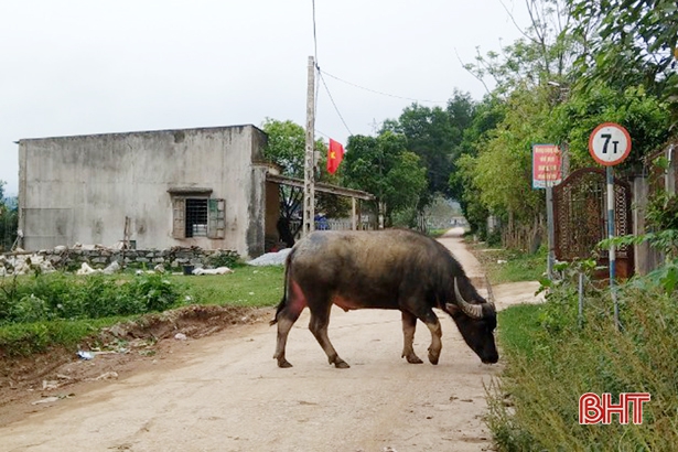 Nhếch nhác trên tuyến đường vào trung tâm hành chính xã miền núi Hà Tĩnh