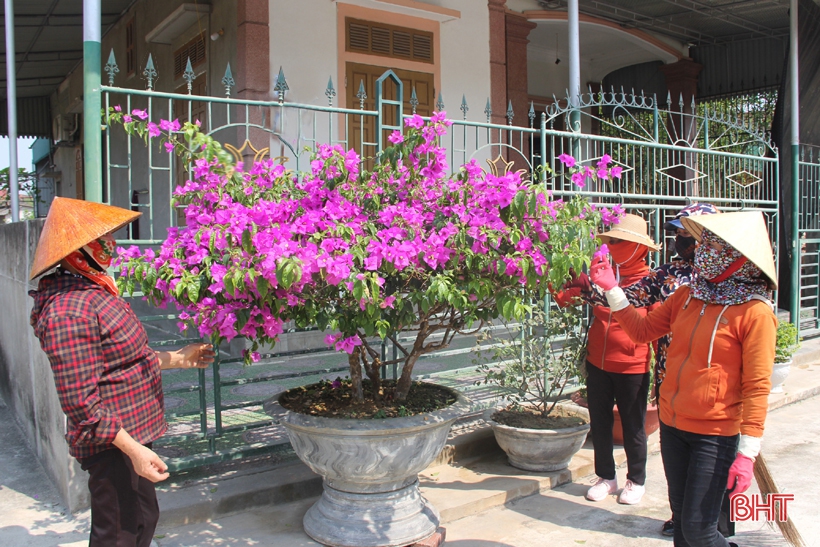 Phụ nữ vùng giáo Hà Tĩnh chung sức làm đẹp khu dân cư NTM kiểu mẫu