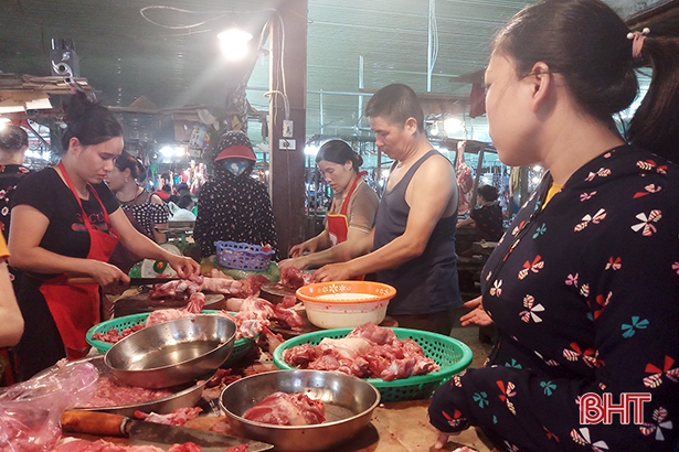 Vì sao doanh nghiệp Hà Tĩnh không mặn mà với nhập khẩu lợn sống?