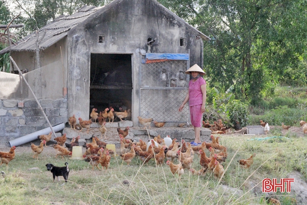 Vì sao 27 hộ dân ở Lộc Hà 6 năm dùng chung 1 công tơ điện?