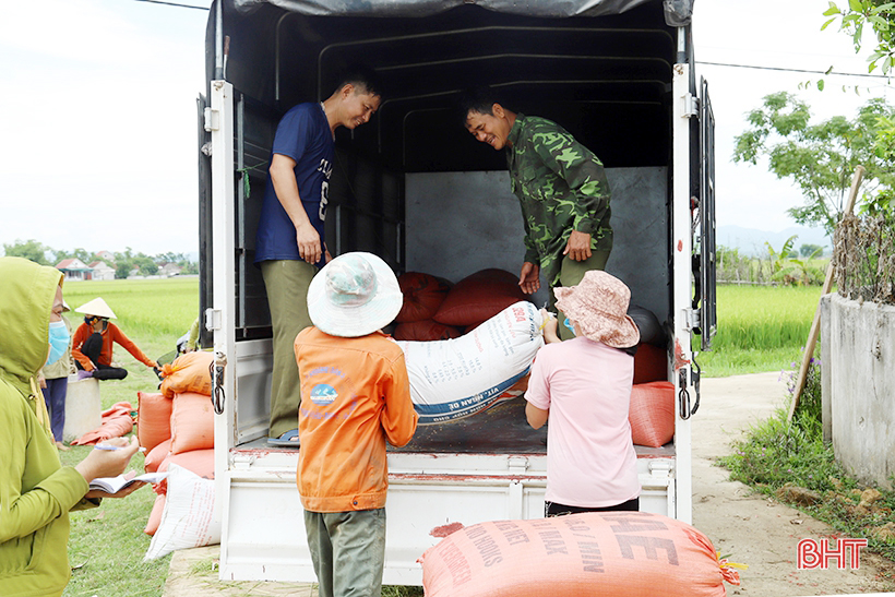 Cụ thể hóa Nghị quyết Đại hội Đảng bộ huyện, Can Lộc đẩy mạnh sản xuất lúa hàng hóa, quy mô lớn