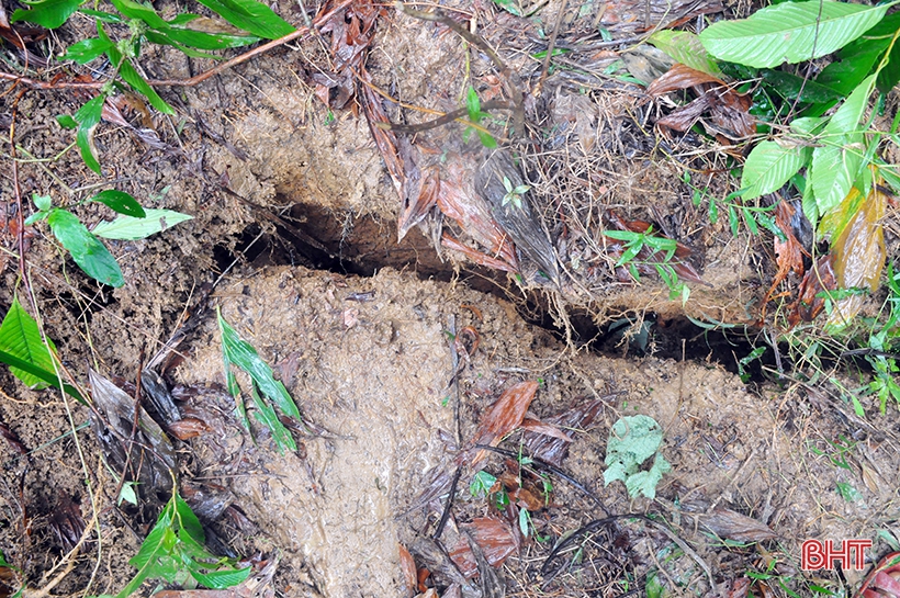 Xuất hiện vết nứt hàng chục mét trên núi, Hương Khê gấp rút sơ tán người dân