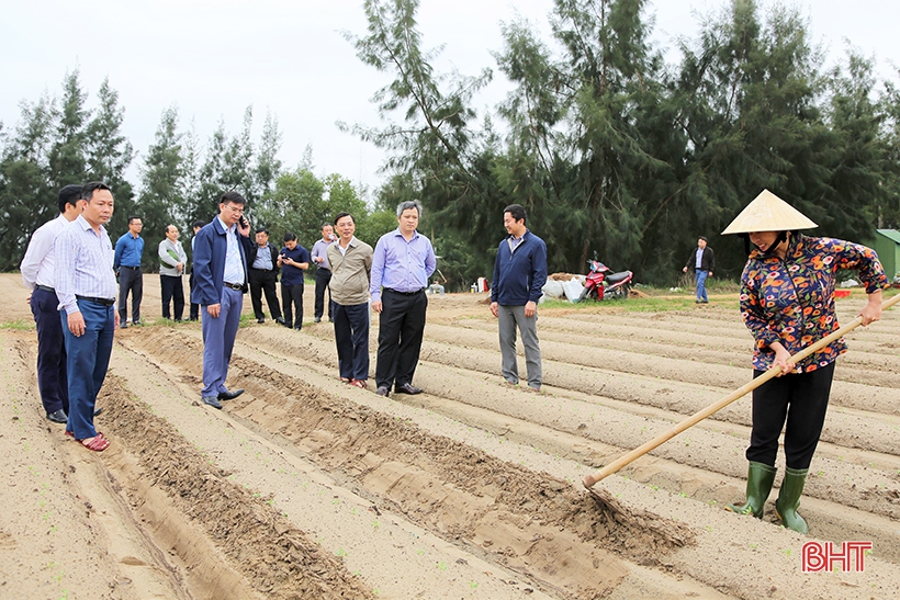 Chủ tịch UBND tỉnh Hà Tĩnh kiểm tra, động viên người dân Thạch Hà khôi phục sản xuất
