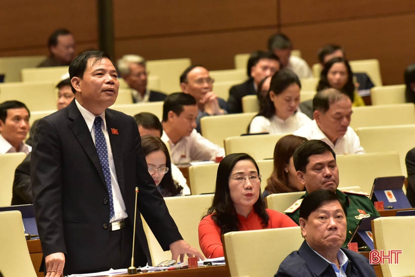 Đại biểu Quốc hội Hà Tĩnh nêu vấn đề đã tính việc tham mưu sắp xếp đơn vị hành chính cấp tỉnh