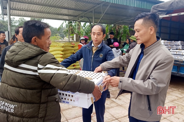 Trao 6.000 con gà giống, 6.800kg thức ăn chăn nuôi cho hộ nghèo Hương Sơn