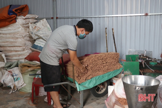 Người làm hương ở Hà Tĩnh hối hả vào mùa sản xuất phục vụ tết