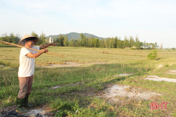 Vì sao 3 năm triển khai, dự án nuôi trồng thủy sản ở Lộc Hà vẫn “dẫm chân tại chỗ”?