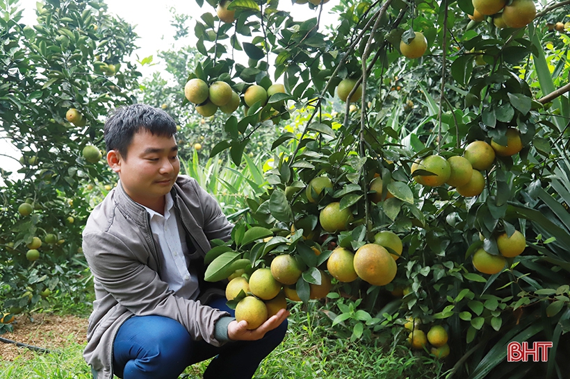 Tạo giá trị bền vững trong xây dựng nông thôn mới ở Hà Tĩnh