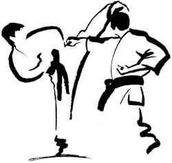 Karate  Tinh hoa niềm tự hào Võ sĩ đạo của Nhật Bản