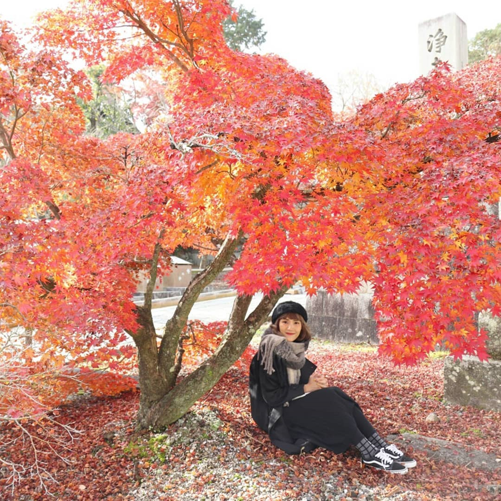 Rừng lá phong đỏ rợp trời thu Nhật Bản