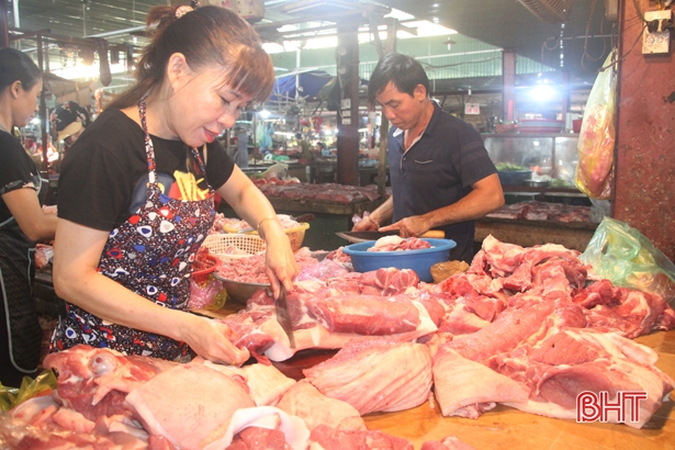 Hà Tĩnh có 60 ngàn con lợn thịt xuất bán dịp Tết Nguyên đán