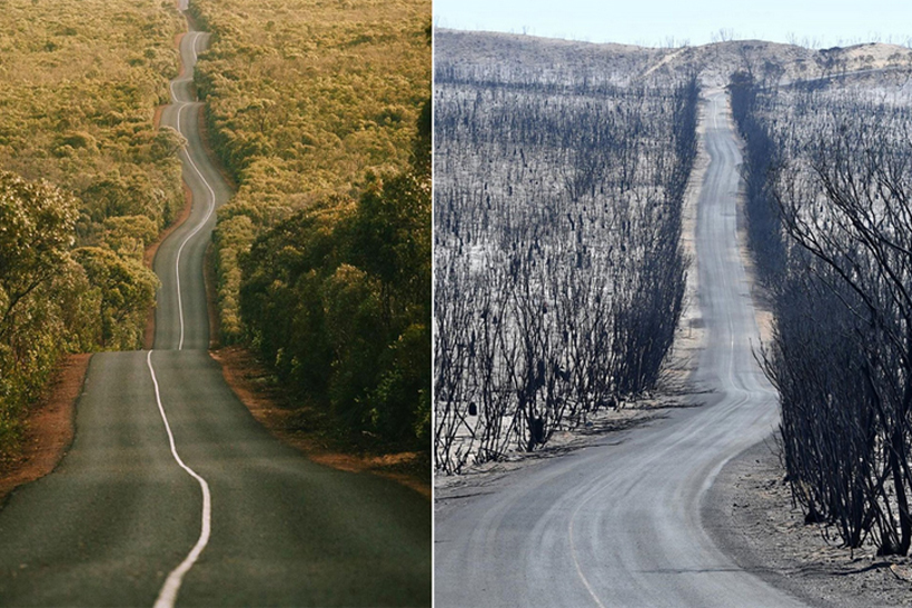 Cảnh đối lập trước và sau thảm họa cháy rừng ở Australia