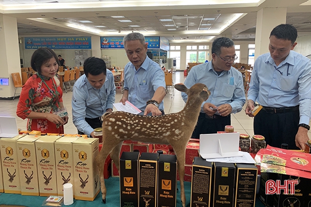 Trưng bày 100 sản phẩm OCOP Hà Tĩnh tại Formosa
