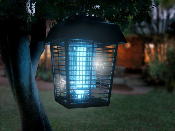 Đèn bắt muỗi có thực sự hiệu quả như quảng cáo?