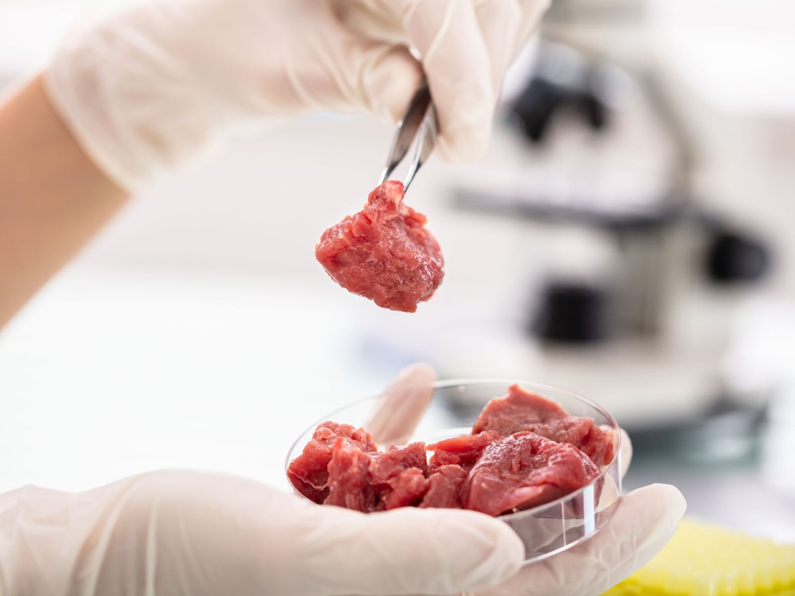 Singapore chính thức cấp phép bán thịt nuôi cấy’ trong phòng thí nghiệm