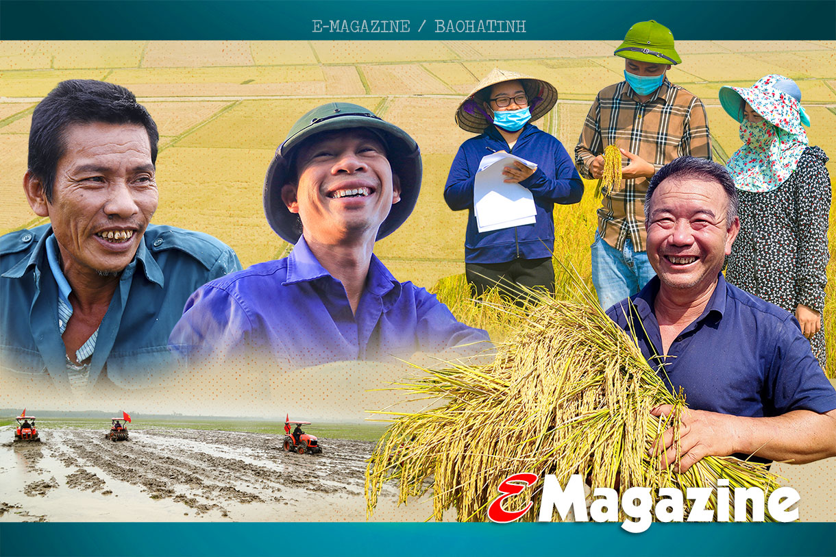 Tích tụ ruộng đất - từ chuyện những người “mê ruộng” đến khát vọng nền nông nghiệp hiện đại (bài cuối): Tư duy mới mở đường cho sản xuất hàng hóa quy mô lớn ở Hà Tĩnh