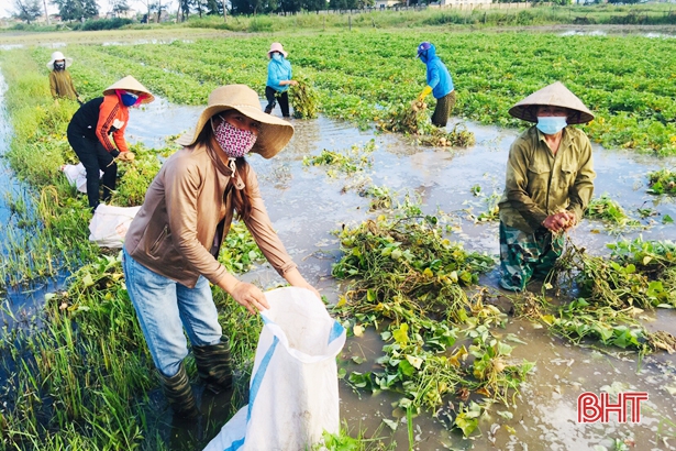 Những người “tiếp lửa” cho phong trào phụ nữ thôn ở Lộc Hà
