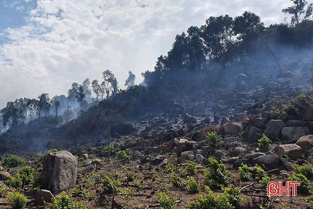 Đốt thực bì gây cháy rừng, người đàn ông ở Hà Tĩnh bị phạt 25 triệu đồng