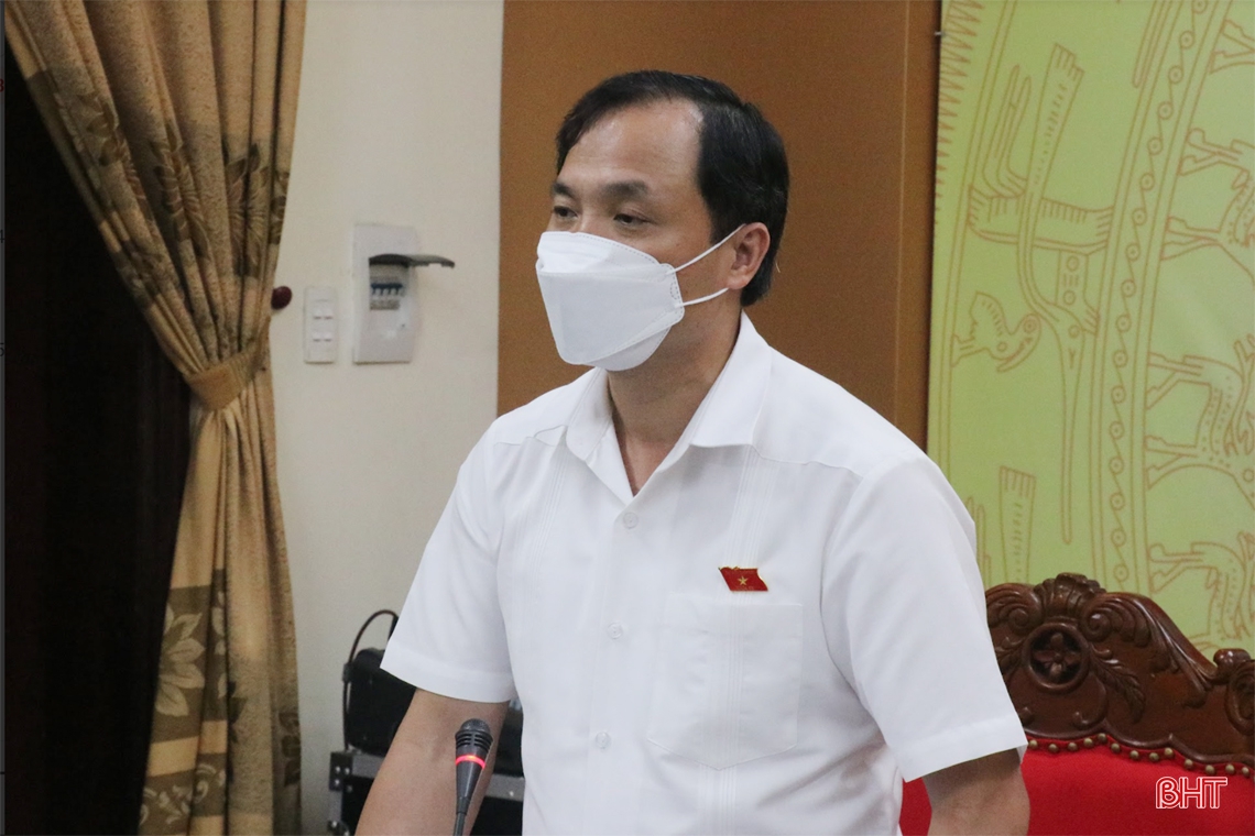 Đại biểu Quốc hội Hà Tĩnh thảo luận tổ về tình hình KT-XH gắn với phòng chống dịch COVID-19