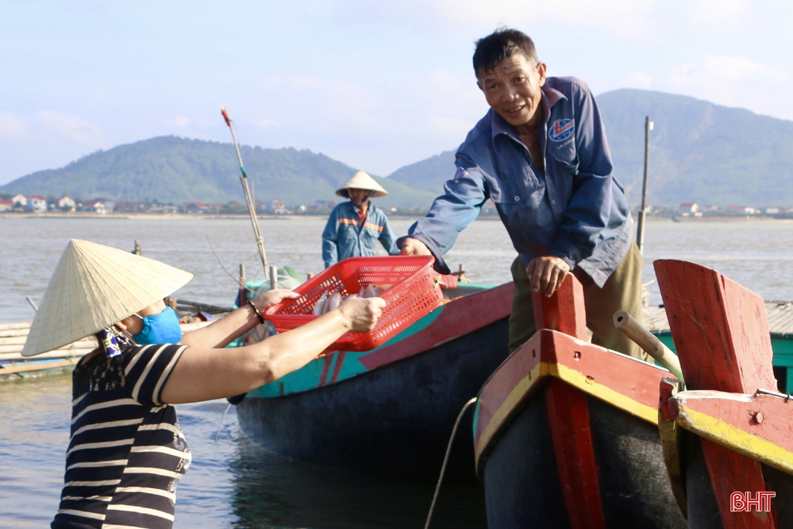 Mùa biển động, ngư dân Cẩm Xuyên vẫn “trúng” nhiều hải sản giá trị