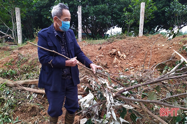 Gia đình cụ ông 80 tuổi ở Hà Tĩnh hiến gần 400m<sup>2</sup> đất làm đường liên xã