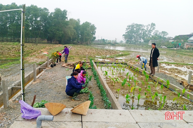 Tìm giải pháp xử lý nước thải sinh hoạt nông thôn Hà Tĩnh