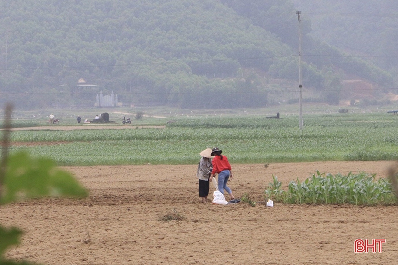 Ngày đầu năm, người dân Vũ Quang xuống đồng sản xuất vụ xuân