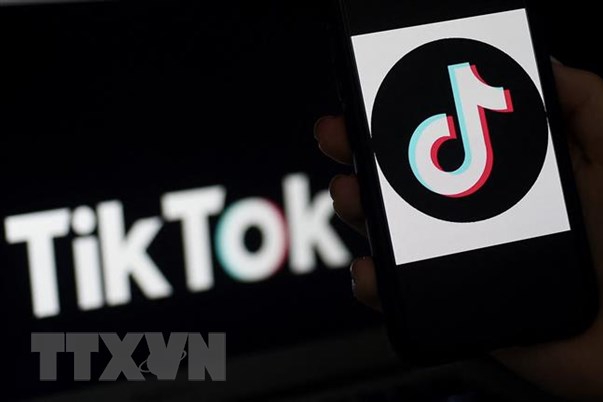 Meta chi bộn tiền thực hiện chiến dịch nhằm giảm sức hút của TikTok