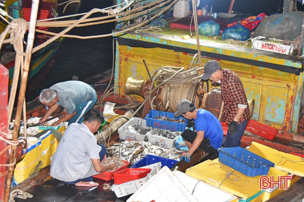Ngư dân Hà Tĩnh vượt khó, đánh bắt gần 18.000 tấn hải sản