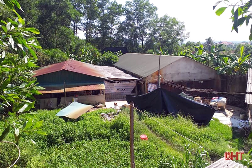 Quyết liệt xử lý ô nhiễm môi trường trong chăn nuôi ở Hương Khê