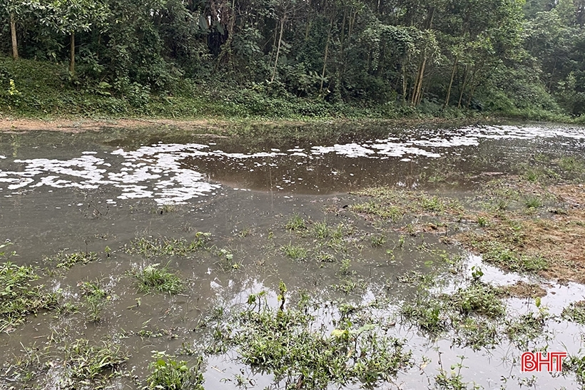 Quyết liệt xử lý ô nhiễm môi trường trong chăn nuôi ở Hương Khê
