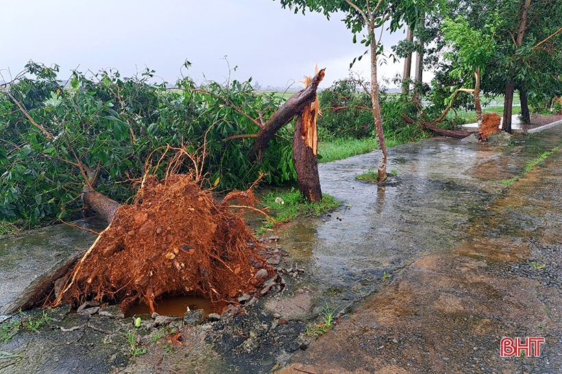 Giúp dân khắc phục thiệt hại do mưa, gió lốc ở Nghi Xuân