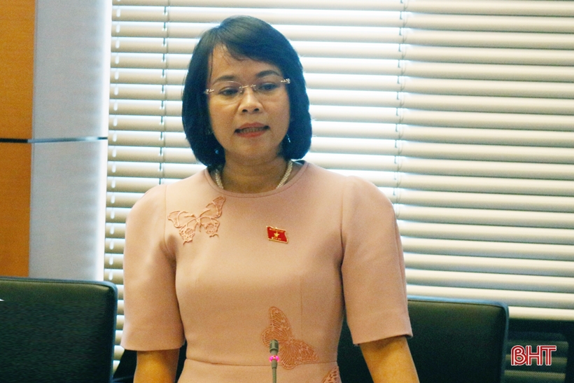 Trưởng đoàn ĐBQH Hà Tĩnh điều hành phiên thảo luận tổ về tình hình kinh tế, ngân sách