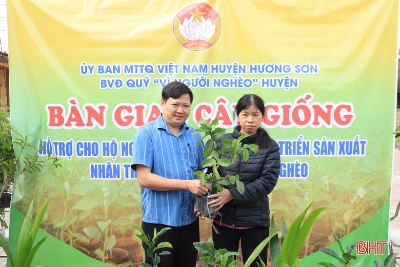 Trao 3.297 cây ăn quả cho hộ nghèo, cận nghèo ở Hương Sơn
