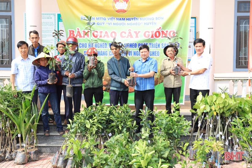 Trao 3.297 cây ăn quả cho hộ nghèo, cận nghèo ở Hương Sơn