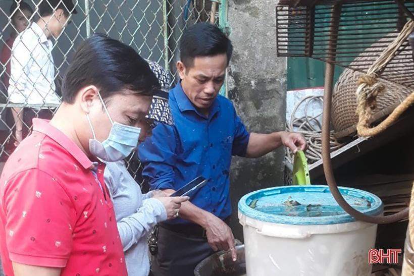 UBND tỉnh Hà Tĩnh chỉ đạo tăng cường phòng chống dịch bệnh