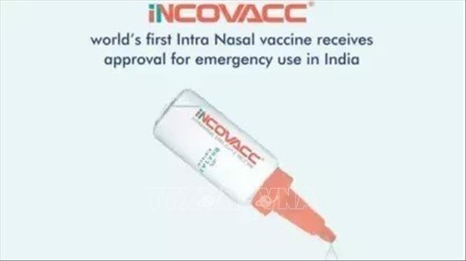 Ấn Độ phê duyệt vaccine nhỏ mũi phòng COVID-19