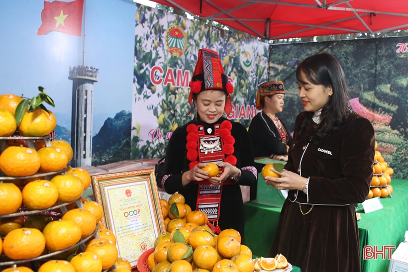 Có gì tại Lễ hội Cam và các sản phẩm nông nghiệp Hà Tĩnh lần thứ 5?