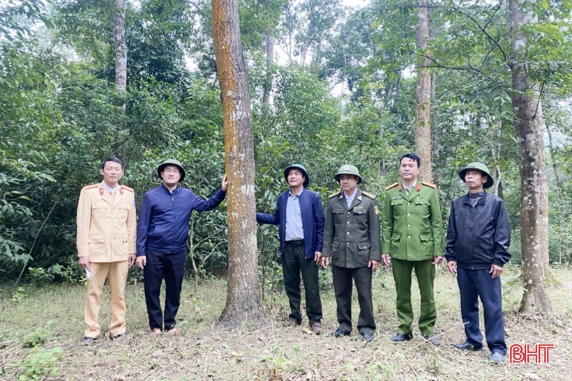 Tăng cường bảo vệ màu xanh cho những cánh rừng ở Hà Tĩnh trong dịp tết