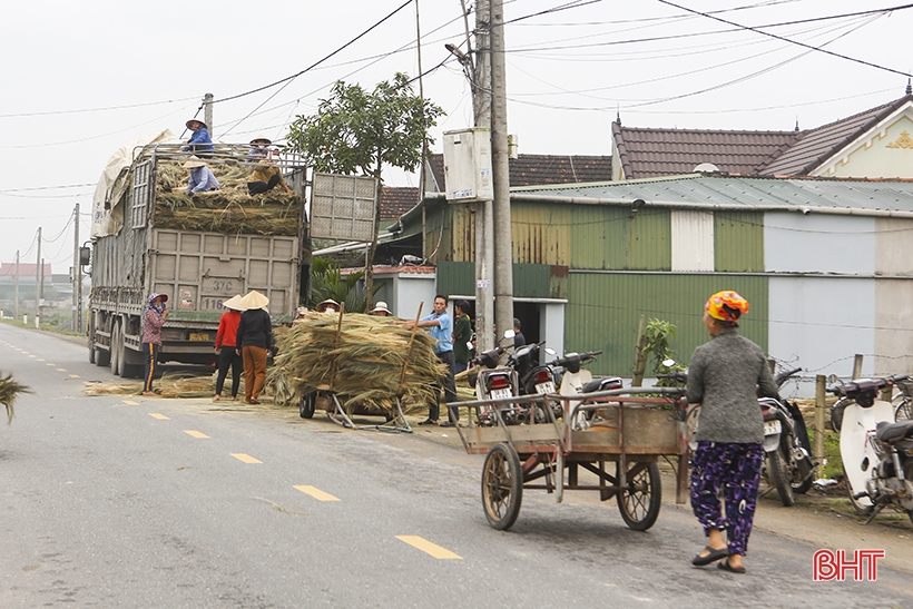 Nguyên liệu khan hiếm, giá tăng, người dân làng nghề chổi đót ở Hà Tĩnh vất vả gom hàng