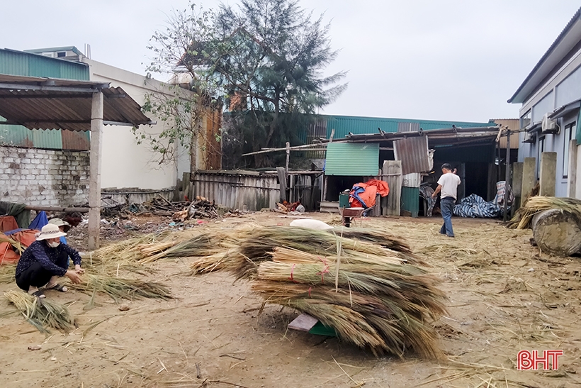 Nguyên liệu khan hiếm, giá tăng, người dân làng nghề chổi đót ở Hà Tĩnh vất vả gom hàng