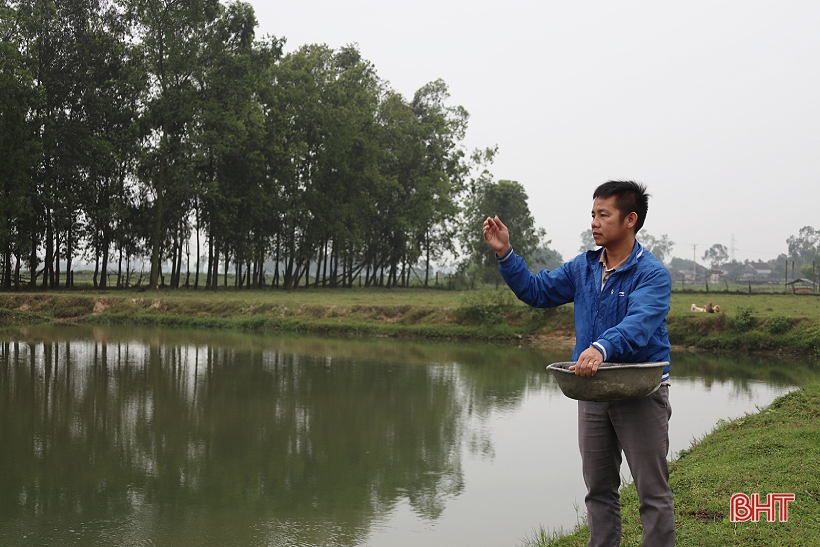 Nông dân Can Lộc nuôi tôm càng xanh cho hiệu quả cao