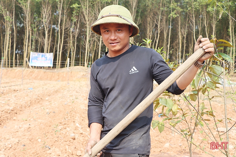 Thanh niên hoàn lương, trồng cây dược liệu ba kích trên đất đồi Kẻ Gỗ