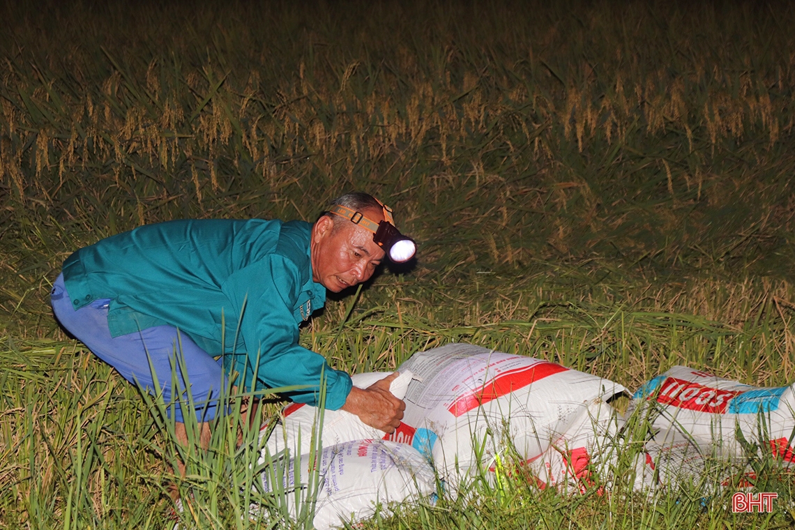 Đêm rộn ràng trên những cánh đồng mùa gặt ở Hà Tĩnh
