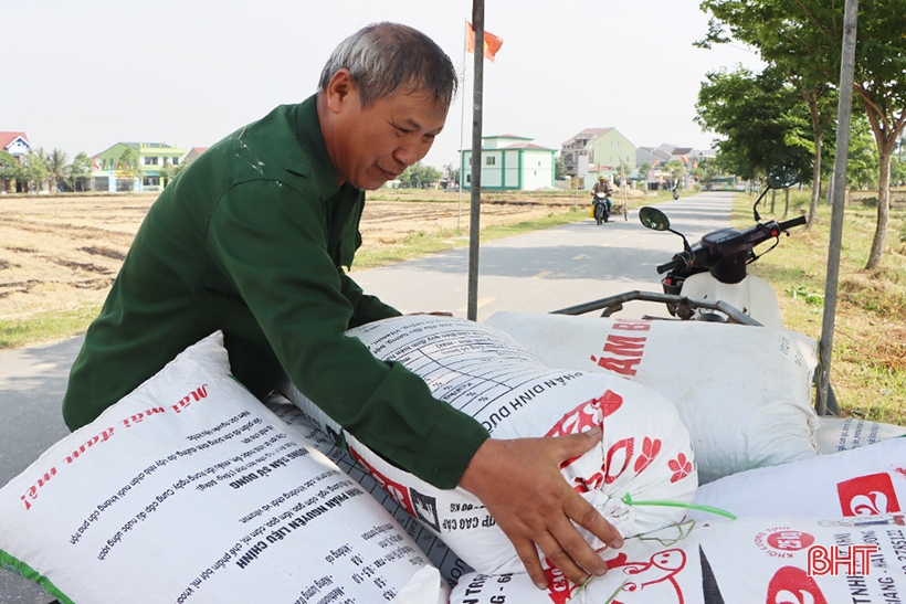 Nhân rộng mô hình sản xuất lúa theo hướng hữu cơ ở Cẩm Xuyên