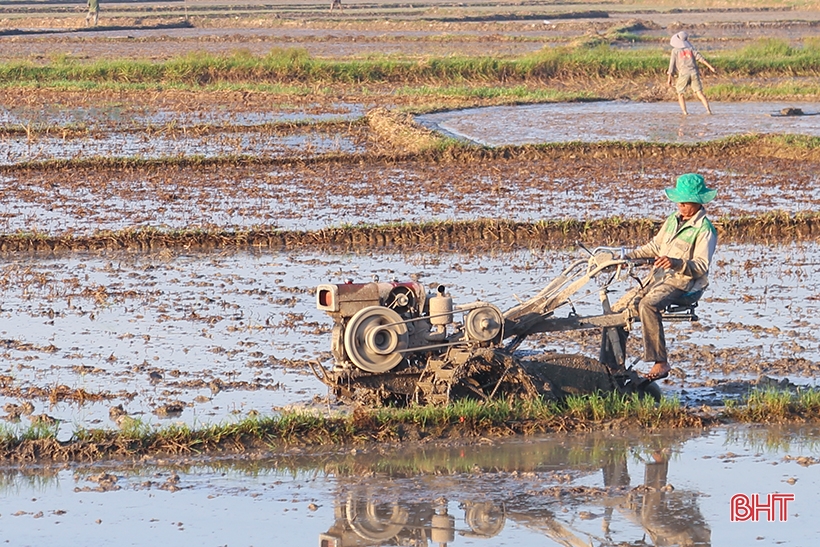 Huyện thứ 2 của Hà Tĩnh hoàn thành gieo cấy lúa hè thu