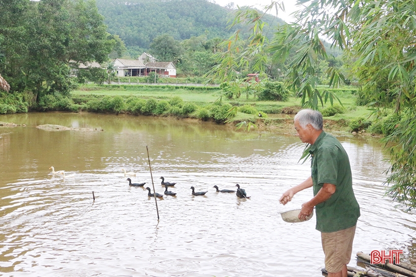 Phát huy “chất lính” trong làm kinh tế vườn đồi ở huyện miền núi Hà Tĩnh